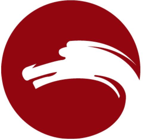 环球时报